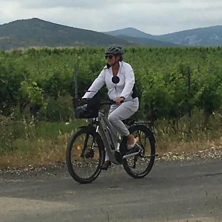 Πανσιόν Cor Causy Oleander Causses-et-Veyran